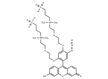 CalFluor 488 Azide
