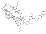 [Lys4] Sarafotoxin S6c
