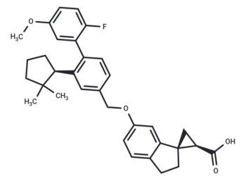 AM-5262