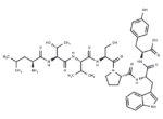 ErbB-2-binding peptide