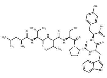 ErbB-2-binding peptide