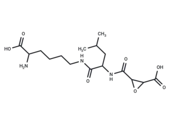 AM 4299 B