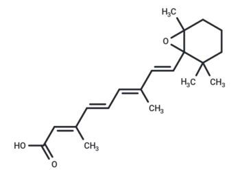 all-trans-5,6-epoxy Retinoic Acid