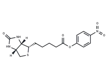 (+)-Biotin-ONP