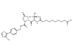 VH 032 amide-alkylC8-acid
