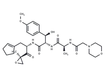 Zetomipzomib