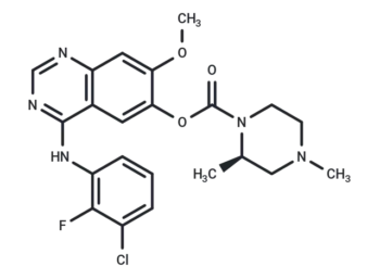Zorifertinib