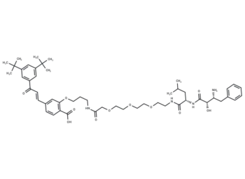 PROTAC RAR Degrader-1