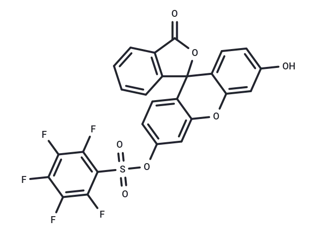 CeMMEC1 HCl