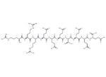 Casein Kinase II Substrate