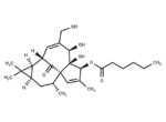 Ingenol 3-Hexanoate