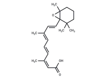 5,6-epoxy-13-cis Retinoic Acid