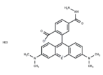 TAMRA hydrazide (6-isomer)