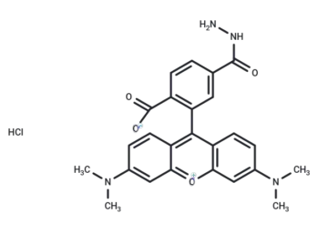 TAMRA hydrazide (6-isomer)