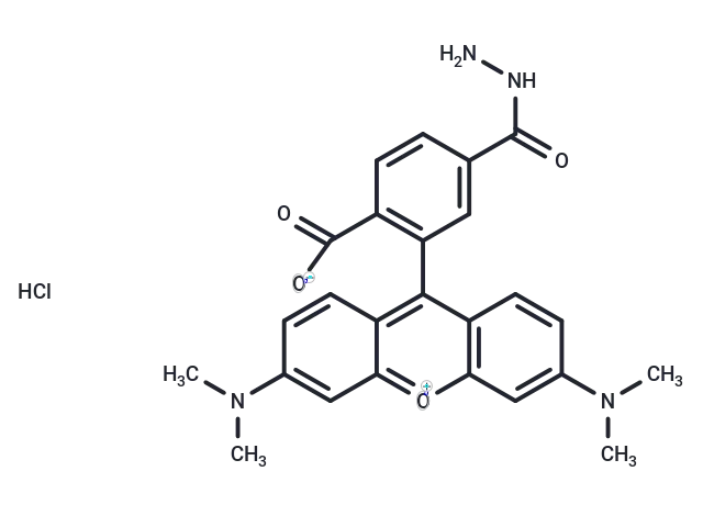 TAMRA hydrazide (6-isomer)