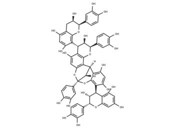 Cinnamtannin B2