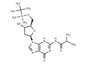5'-O-TBDMS-N2-ibu-dG