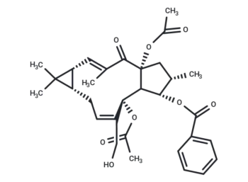 Euphorbia factor L24