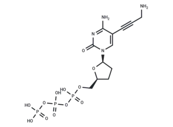 5-Propargylamino-ddCTP