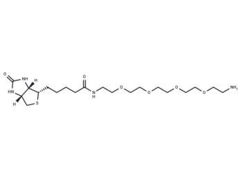 Biotin-PEG4-amine