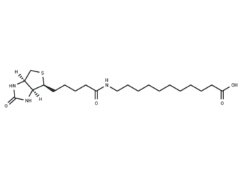 (+)-Biotin-SLC