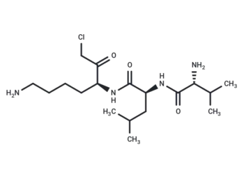 D-Val-Leu-Lys-chloromethylketone