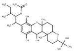 Alboleersin