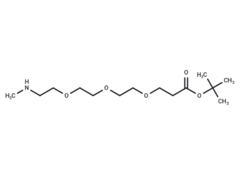Methylamino-PEG3-t-butyl ester