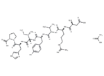 Angiotensin Fragment 1-7 (acetate)