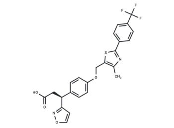 AM-4668