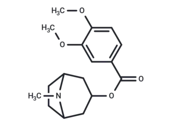 Convolamine