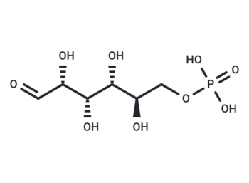 D-Glucose 6-phosphate