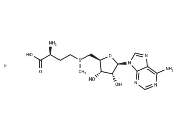 S-Adenosyl-L-methionine iodide