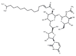 Tunicamycin VII