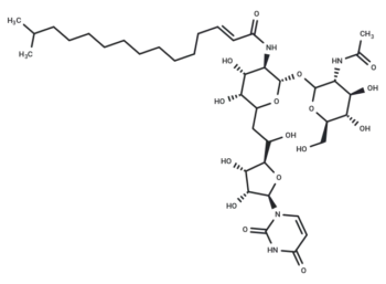 Tunicamycin VII