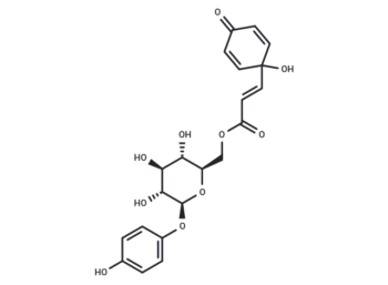 Robustaside D