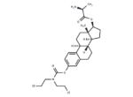 Alestramustine