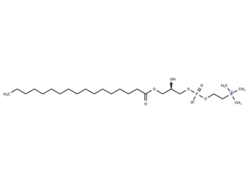 1-Heptadecanoyl-2-hydroxy-sn-glycero-3-phosphocholine