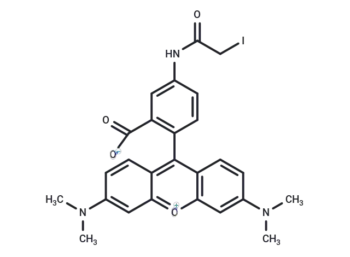 Tetramethylrhodamine-5-iodoacetamide