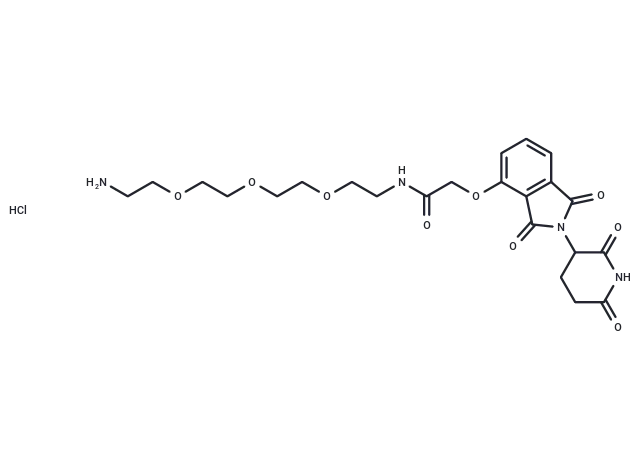Thalidomide-O-amido-PEG3-C2-NH2 hydrochloride CgoaEWY7M8OEZly9AAAAANWjnRs650- Immunomart