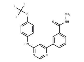 GNF5-amido-Me