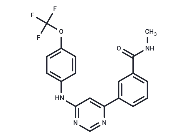 GNF5-amido-Me - Immunomart