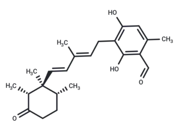 Cylindrol B