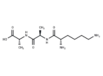 Lysyl-alanyl-alanine