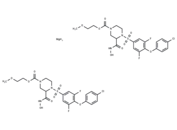 XL-784
