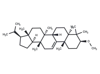 Cylindrin