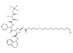 A 410099.1 amide-PEG5-amine