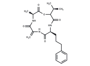 AM Toxin II