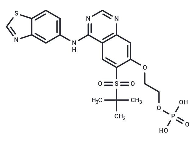 GSK2983559 free acid