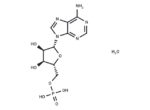 Adenosine 5′-monophosphate monohydrate